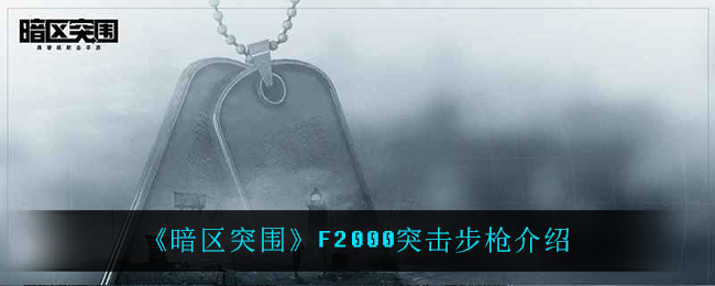 暗区突围F2000突击步枪怎么样