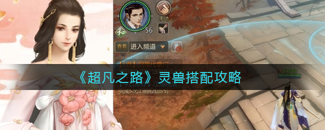 超凡之路灵兽怎么搭配