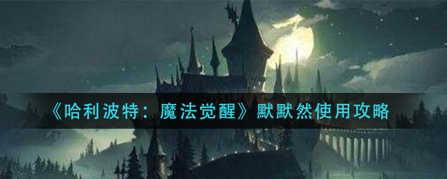 哈利波特魔法觉醒默默然怎么使用