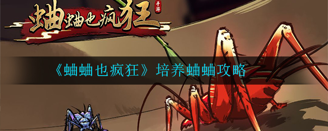 蛐蛐也疯狂怎么培养蛐蛐
