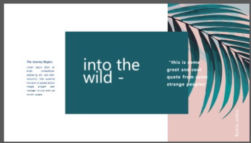 水彩散尾葵叶子背景的北欧风PPT画册模板2