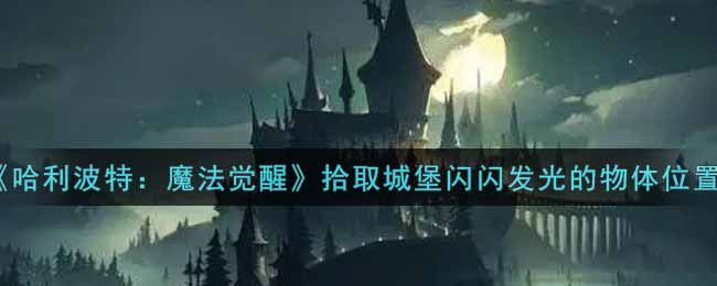 哈利波特魔法觉醒拾取城堡闪闪发光的物体位置在哪