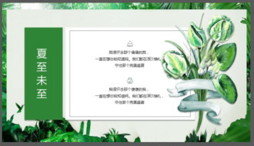 森林绿叶植物背景清爽夏季主题PPT模板2