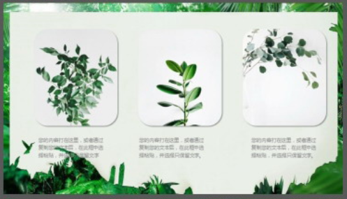 森林绿叶植物背景清爽夏季主题PPT模板3