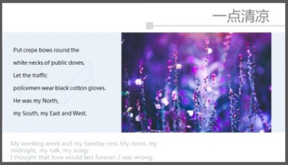 植物花卉背景的画册风夏日主题PPT模板3