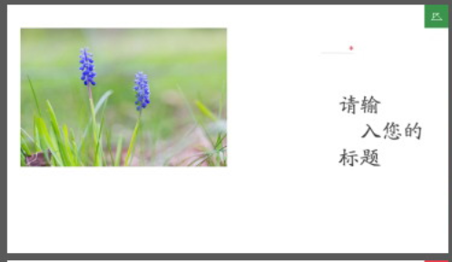 清新水彩植物叶子背景植物相册PPT模板2