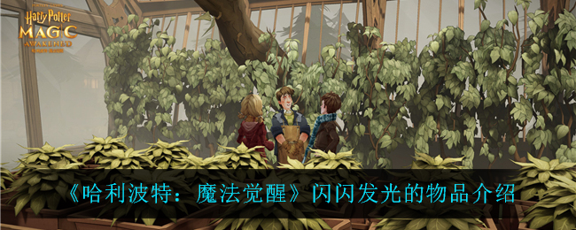 哈利波特魔法觉醒闪闪发光的物品怎么样