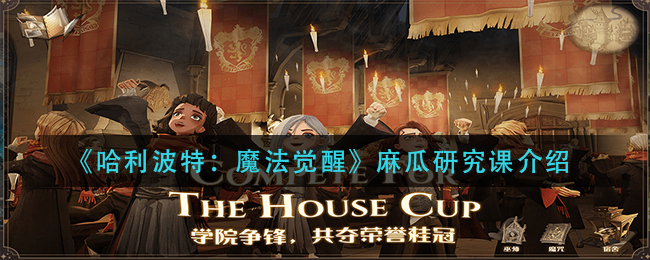哈利波特魔法觉醒麻瓜研究课怎么玩