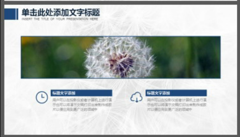 唯美蒲公英PPT模板2