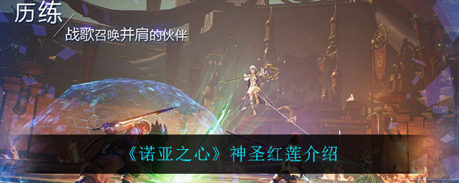 诺亚之心神圣红莲怎么样