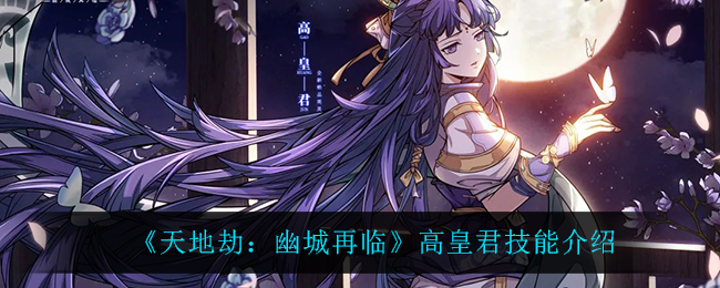 天地劫幽城再临高皇君技能是什么