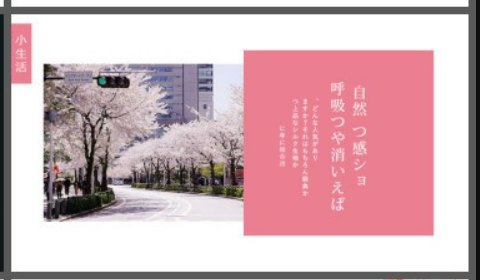 粉色水彩日系樱花背景日本旅行相册PPT模板2