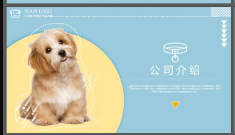 宠物狗狗背景的杂志风宠物店介绍PPT模板0