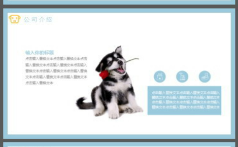 宠物狗狗背景的杂志风宠物店介绍PPT模板1