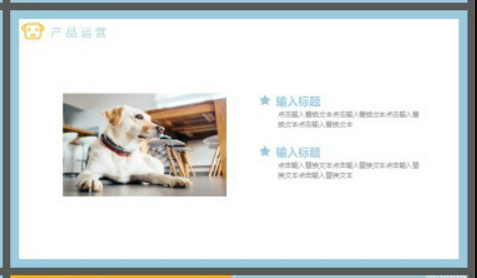 宠物狗狗背景的杂志风宠物店介绍PPT模板2