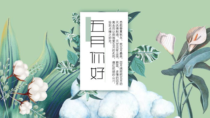 艺术手绘棉花百合背景五月你好PPT模板