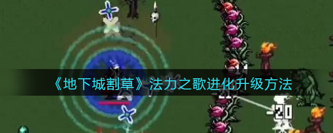 地下城割草法力之歌怎么进化升级