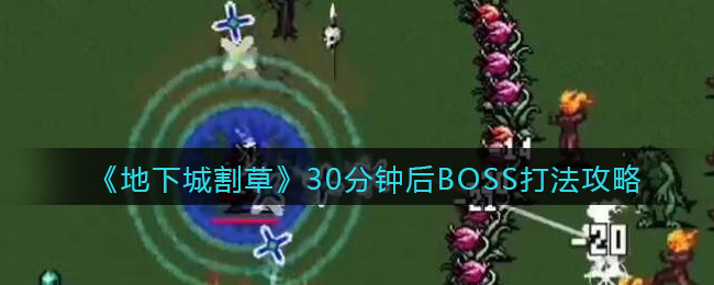 地下城割草30分钟后BOSS怎么打