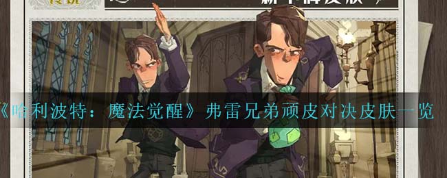 哈利波特魔法觉醒弗雷兄弟顽皮对决皮肤怎么样