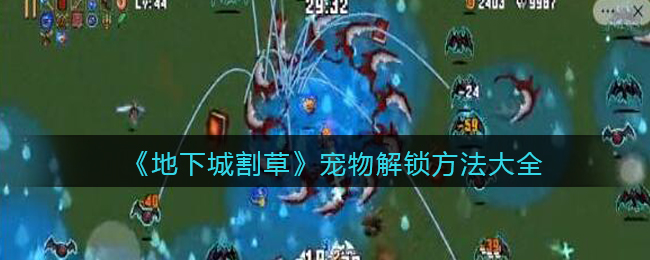 地下城割草宠物怎么解锁