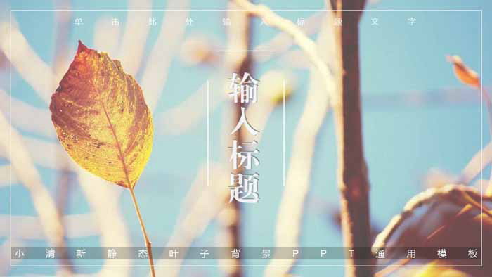 小清新植物背景的图片排版设计PPT模板