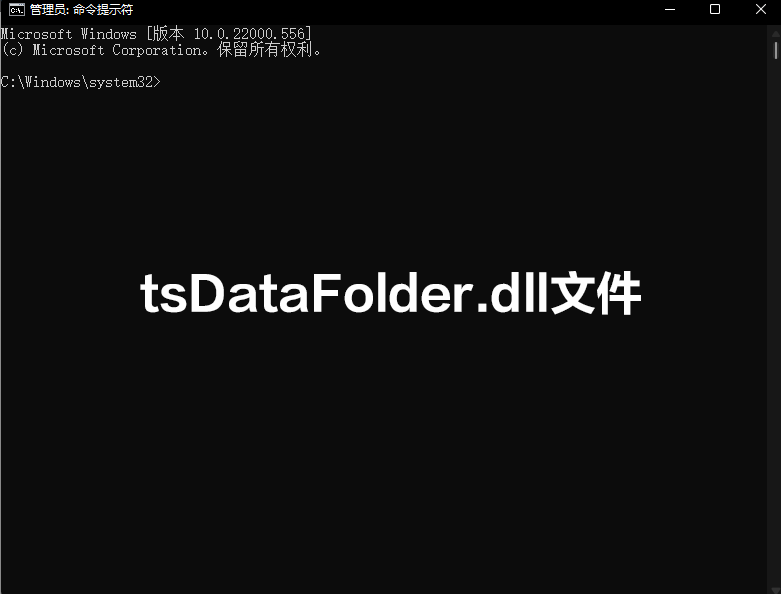 tsDataFolder.dll0