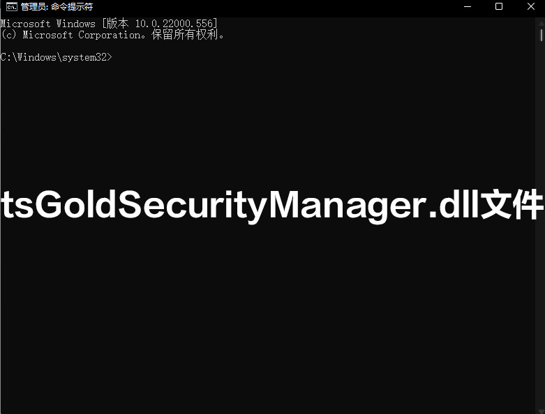 tsGoldSecurityManager.dll0