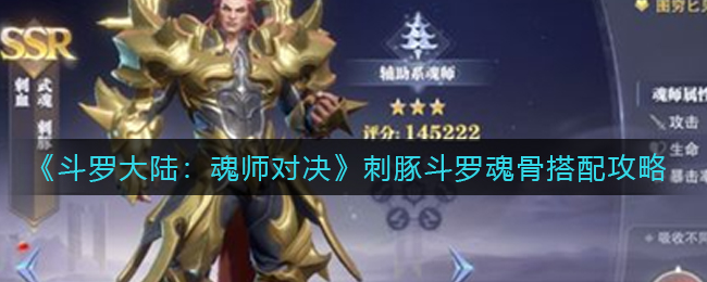 斗罗大陆魂师对决刺豚斗罗魂骨怎么搭配