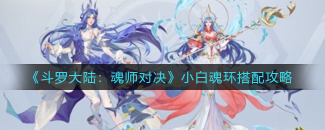 斗罗大陆魂师对决小白魂环怎么搭配