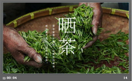 清新茶味茶文化PPT模板3