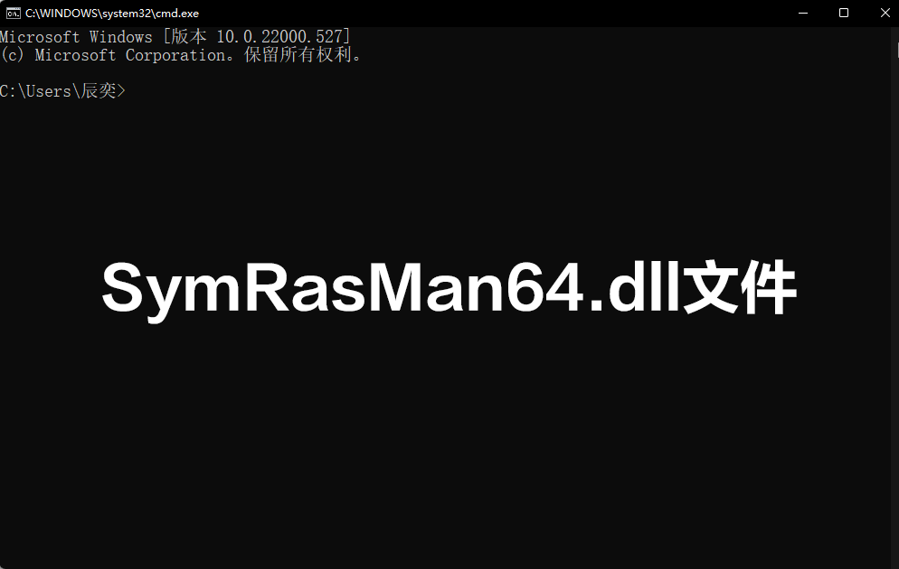 SymRasMan64.dll文件0