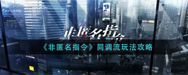 非匿名指令同调流怎么玩