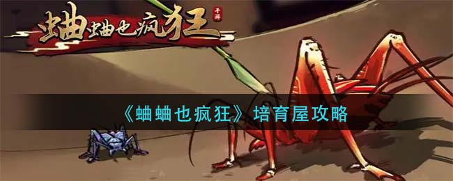 蛐蛐也疯狂培育屋怎么玩