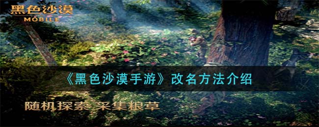 黑色沙漠手游怎么改名