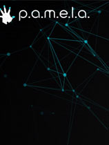 帕梅拉十项修改器MrAntiFun版