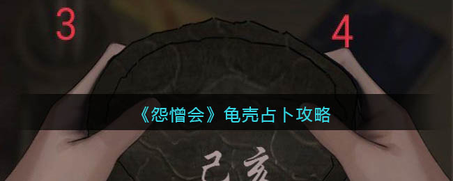 怨憎会龟壳占卜怎么解