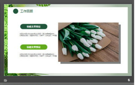 清新绿色植物背景的述职报告PPT模板2
