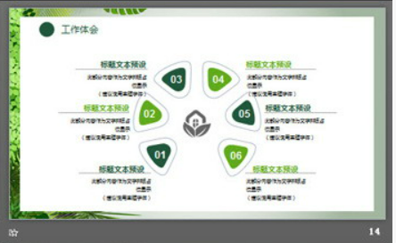 清新绿色植物背景的述职报告PPT模板3