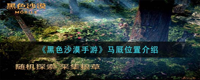 黑色沙漠手游马厩位置在哪