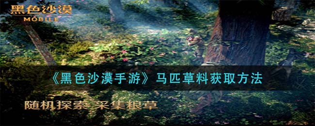 黑色沙漠手游马匹草料怎么获取