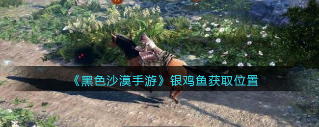 黑色沙漠手游银鸡鱼获取位置在哪