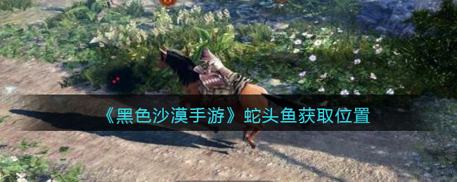 黑色沙漠手游蛇头鱼怎么获取