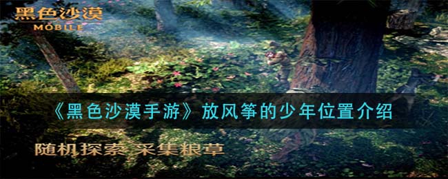 黑色沙漠手游放风筝的少年位置在哪