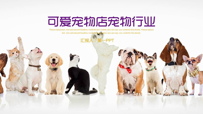 狗狗猫咪排队背景的宠物PPT模板
