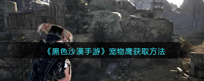 黑色沙漠手游宠物鹰怎么获取