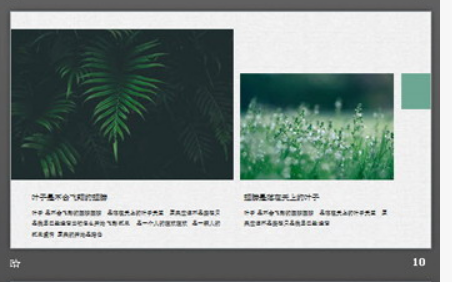清新水彩手绘绿叶PPT模板2