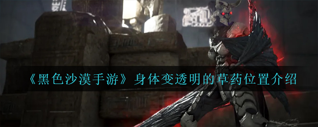 黑色沙漠手游身体变透明的草药位置在哪