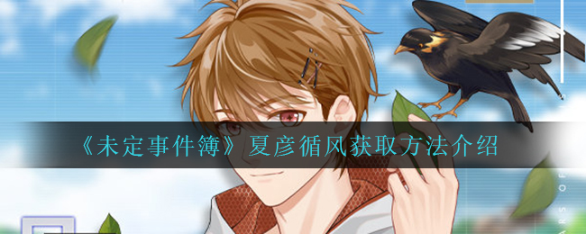 未定事件簿夏彦循风怎么获取