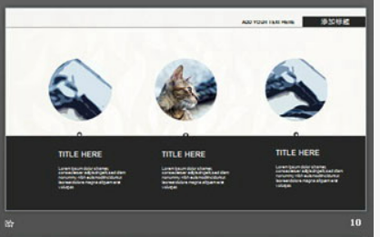 黑白极简曲线背景艺术设计PPT模板2