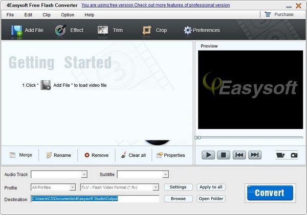 4Easysoft Free Flash Converter